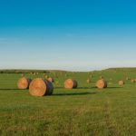 Road trip photography tips