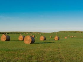 Road trip photography tips