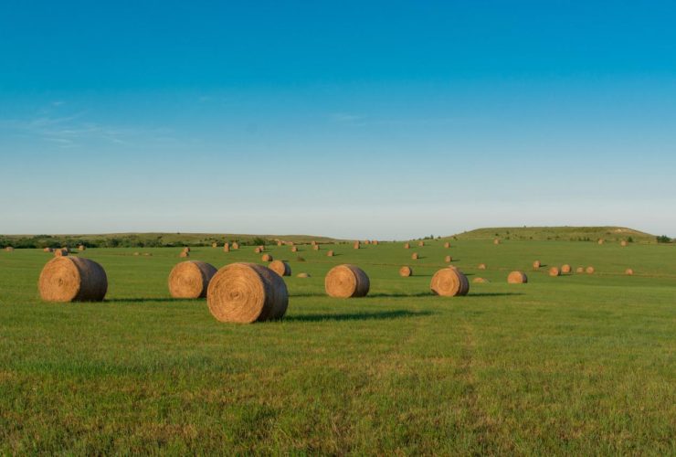 Road trip photography tips