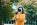 How to improve your photography